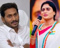 YS Jagan Mohan Reddy – माजी मुख्यमंत्र्यांचा बहिणीशी वाद, 20 एकर जमीन अन् कोट्यावधींचे शअर्स कोणाचे?