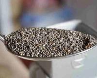 Chia Seeds Sideeffects: चिया सिड्सचे सेवन आरोग्यासाठी धोकादायक…! होतील ‘हे’ गंभीर आजार