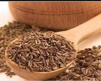 Roasted Cumin Benefits: सकाळी एक चमचा ‘हा’ पदार्थ खा, अनेक आजार दूर पळवा; जाणून घ्या फायदे