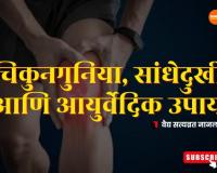 Video – चिकुनगुनिया, सांधेदुखी आणि आयुर्वेदिक उपाय