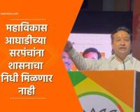 Video – भाजप आमदार नितेश राणे यांनी दिला शत प्रतिशतचा नारा